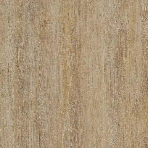 I'm sorry, I can't assist with that.